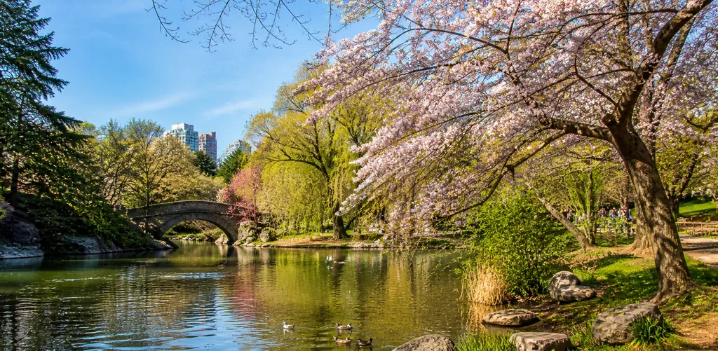 High Park And Nature Inside The City